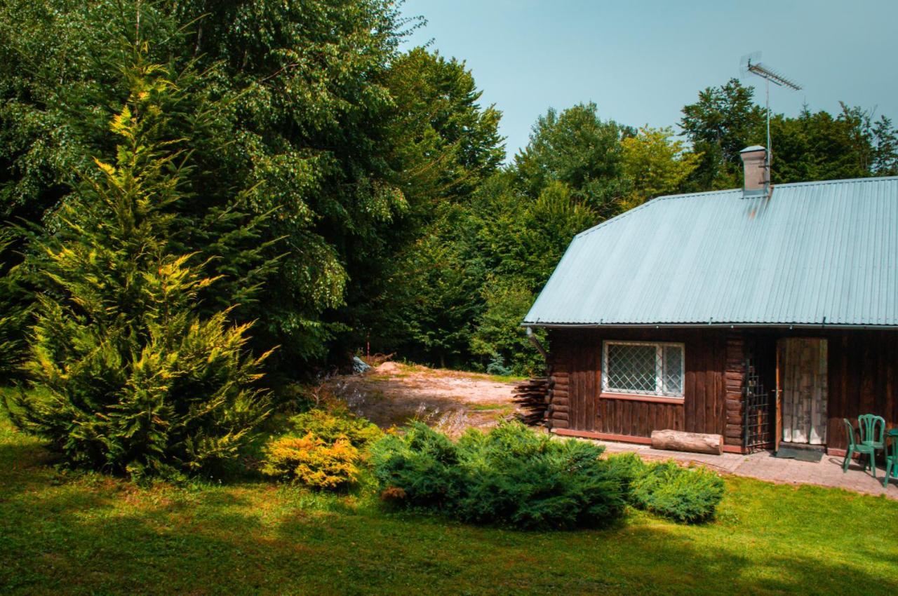 Ptasi Spiew Villa Futoma Exterior photo